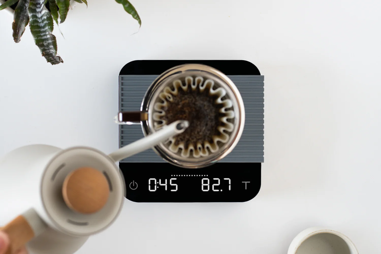 Acaia Pearl Scale - Image 6