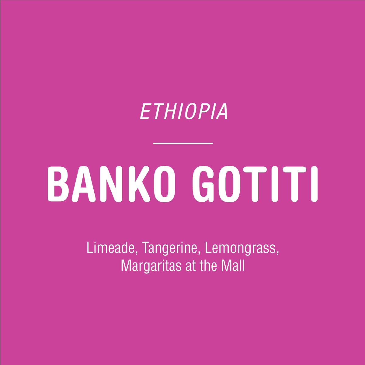 Ethiopia Banko Gotiti - Image 2