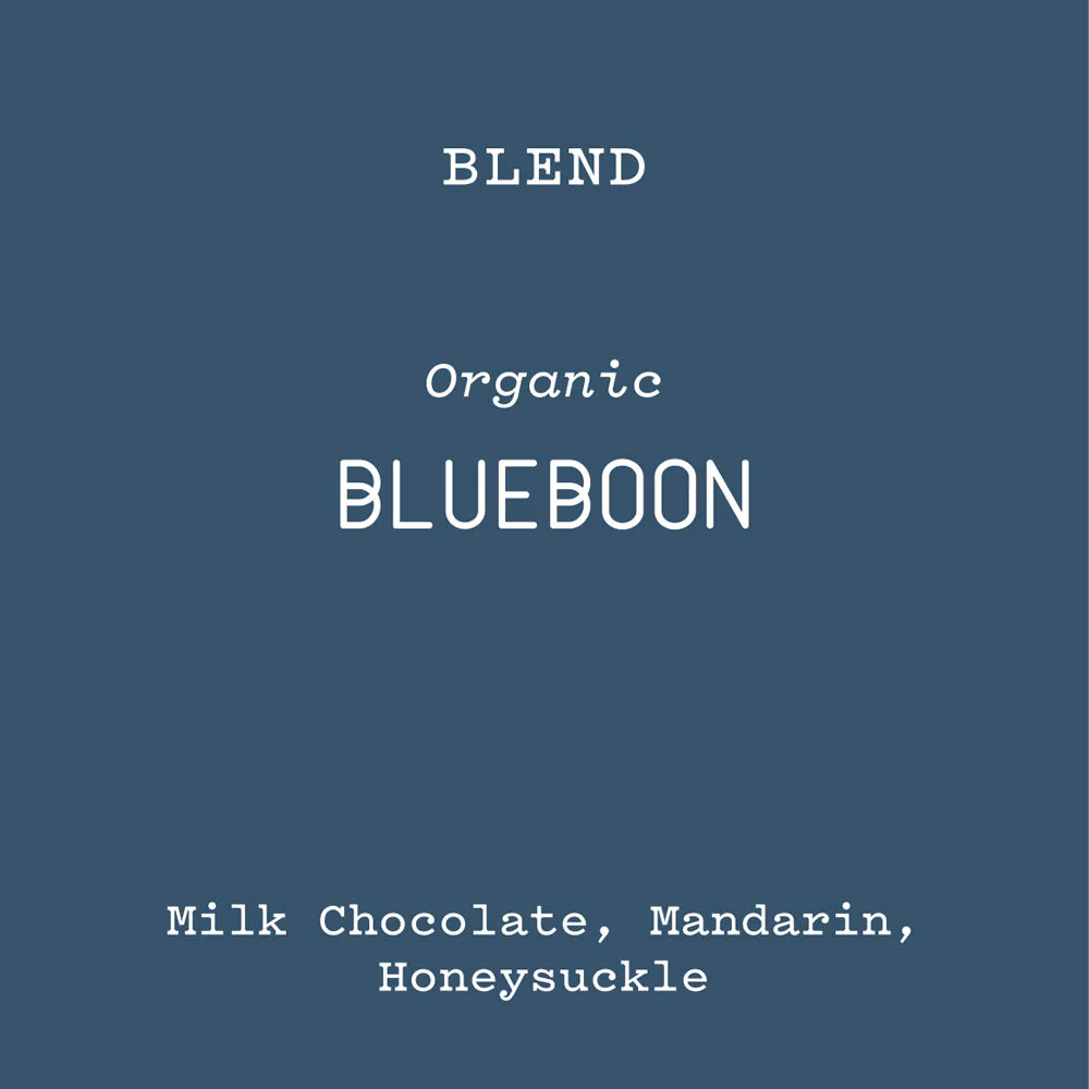 Blueboon - Image 2
