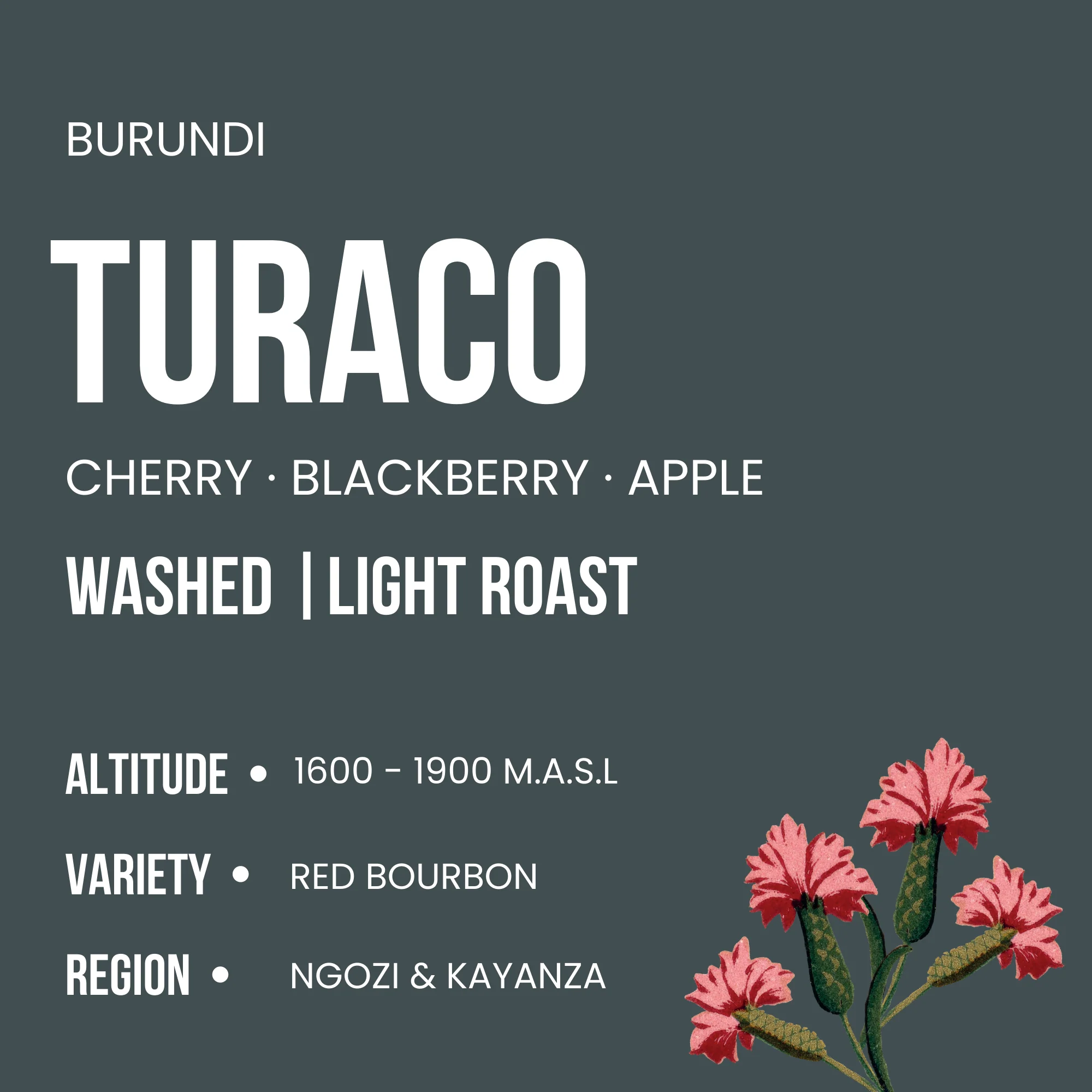 Burundi - Turaco - Image 2
