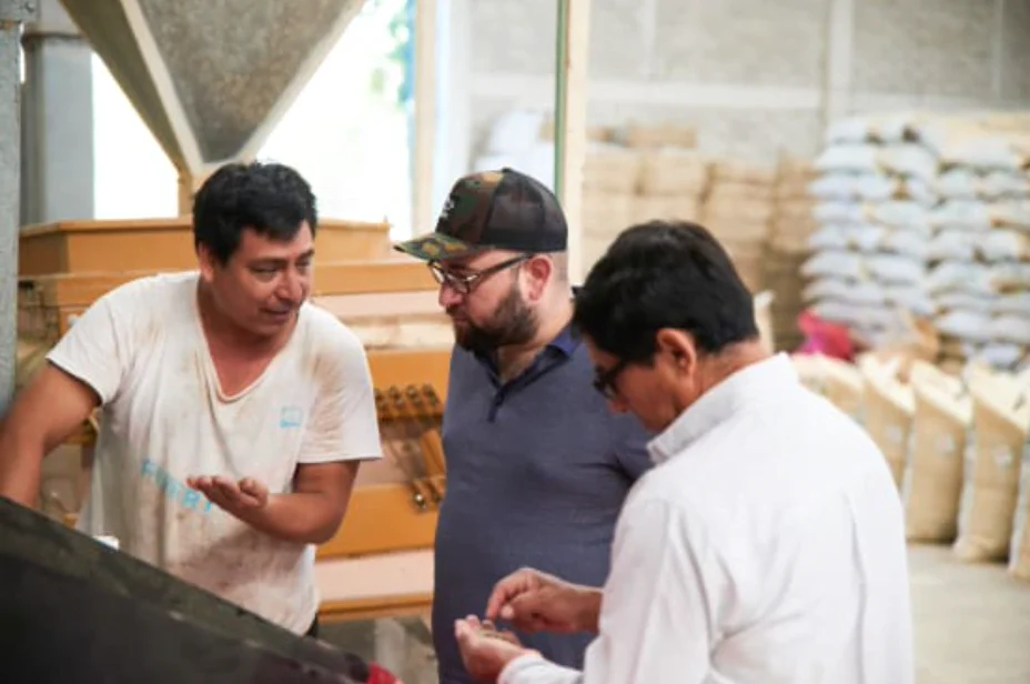 Mexcio Chiapas Decaf - Image 2