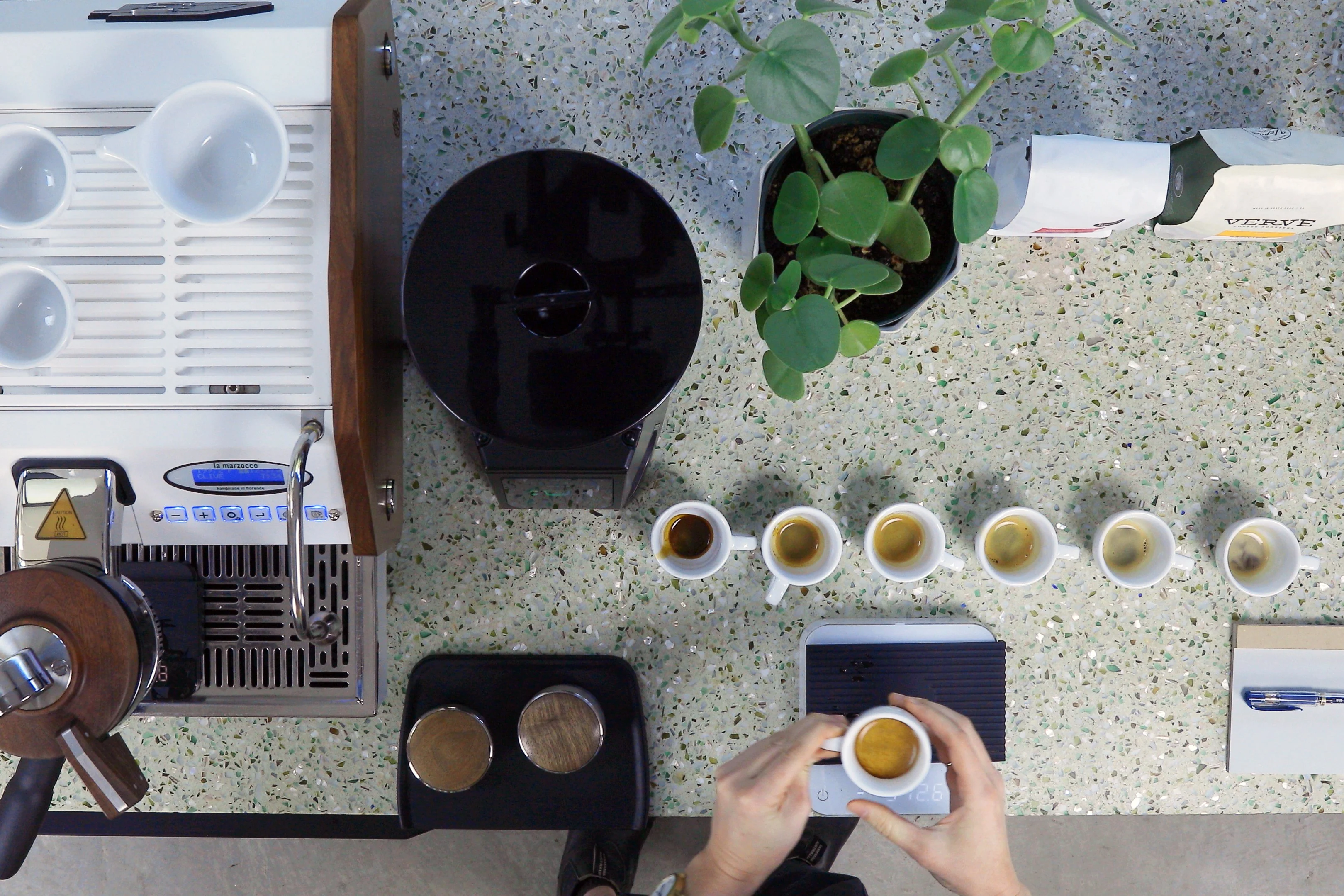 Coffee School: Advanced Espresso - Image 4