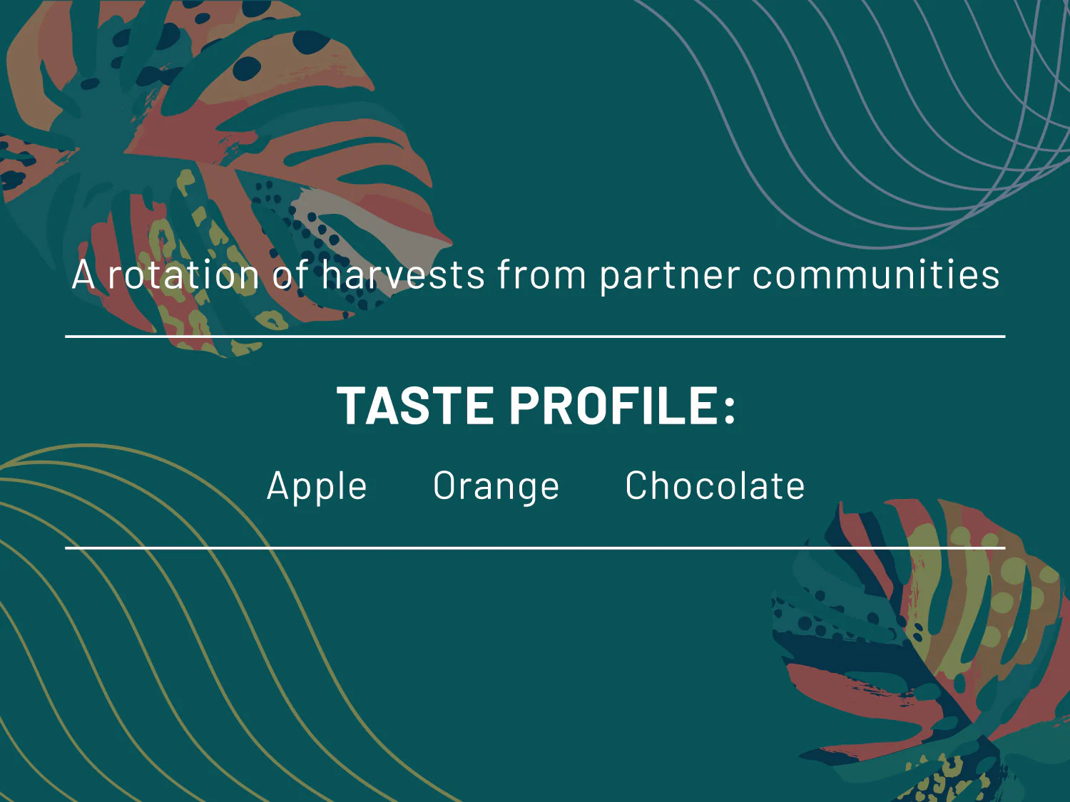 Colombia Community - Image 2