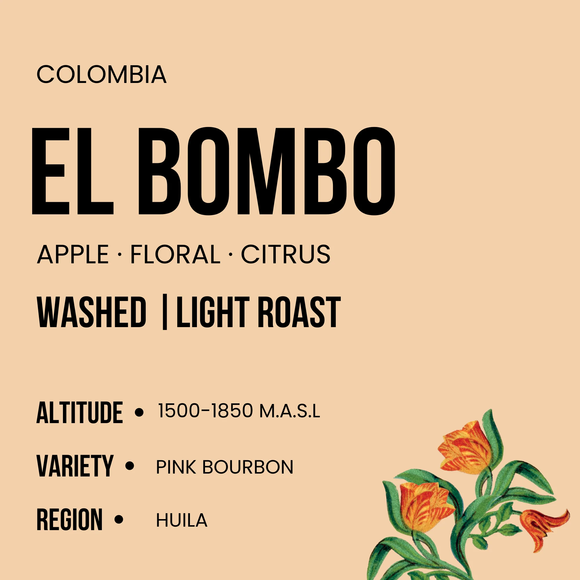Colombia - El Bombo - Image 2