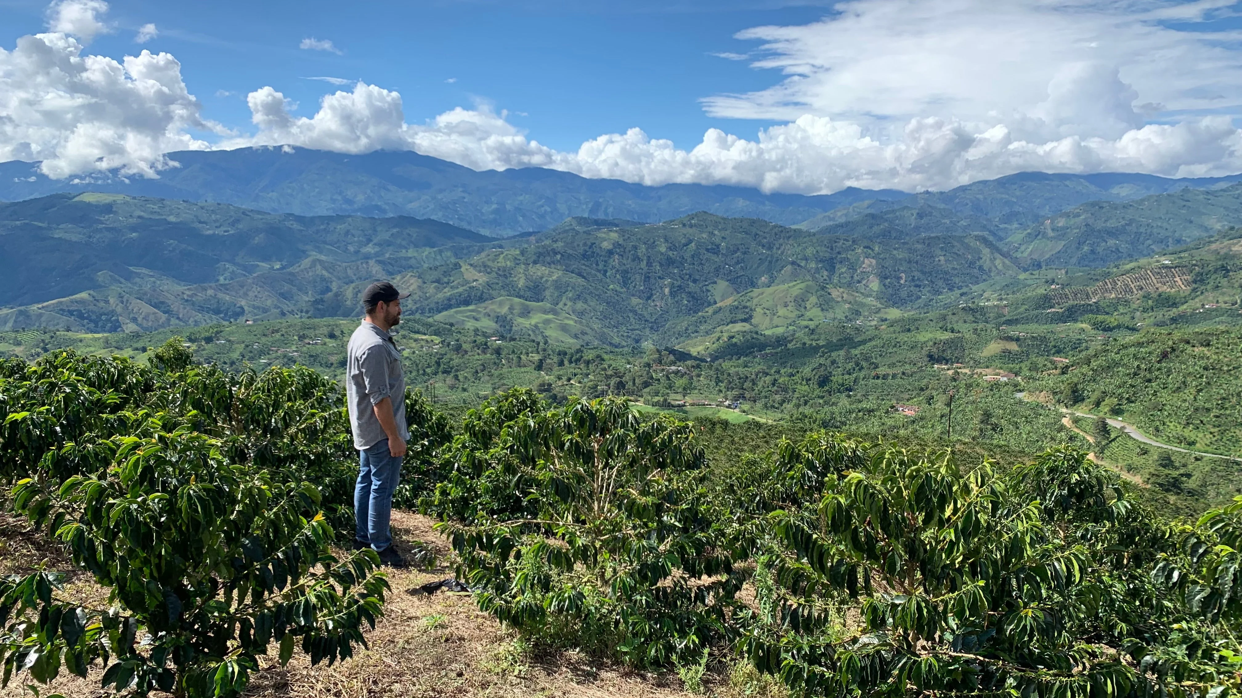 Colombia - Finca El Embrujo - Image 3