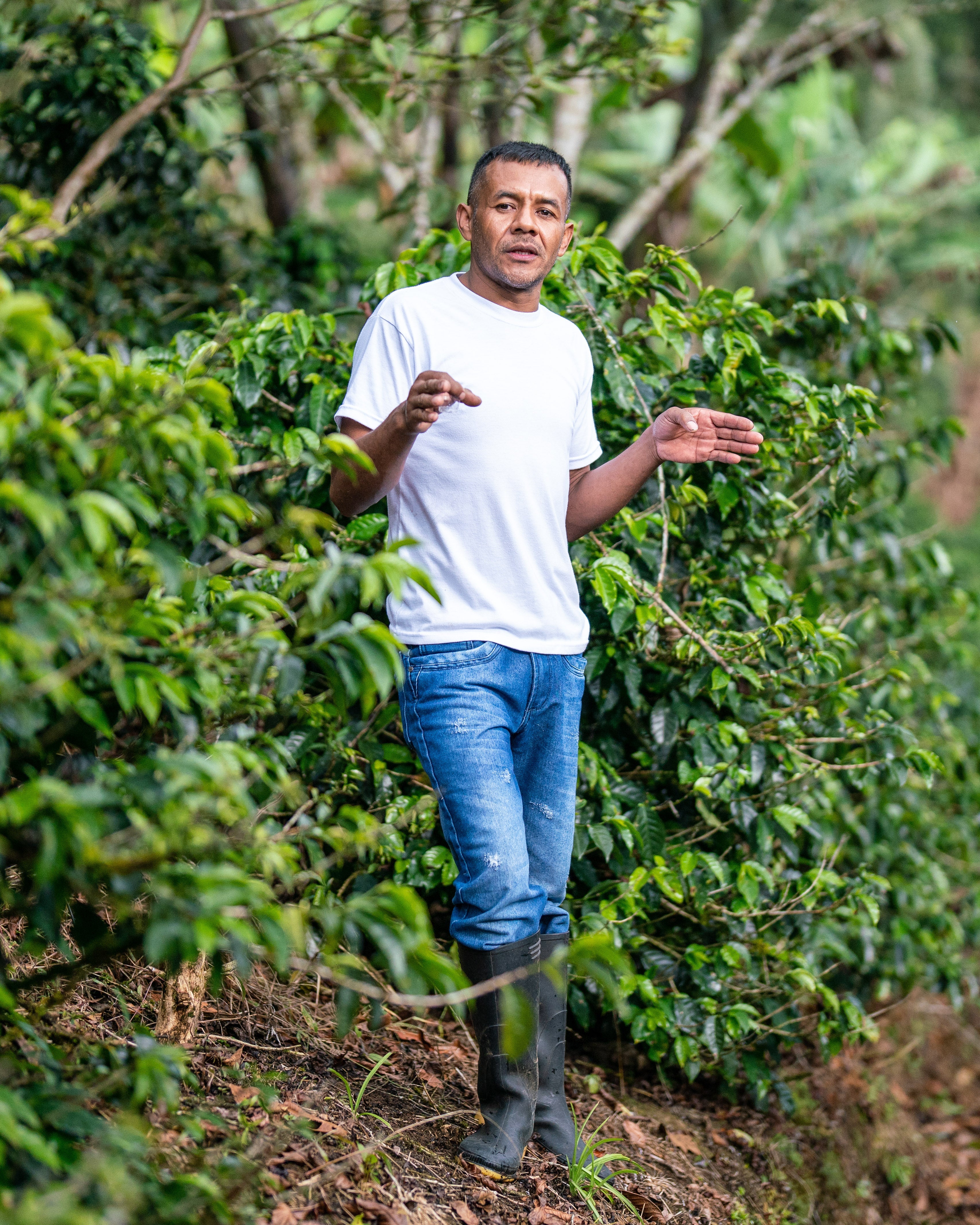 Colombia Nariño - Image 7