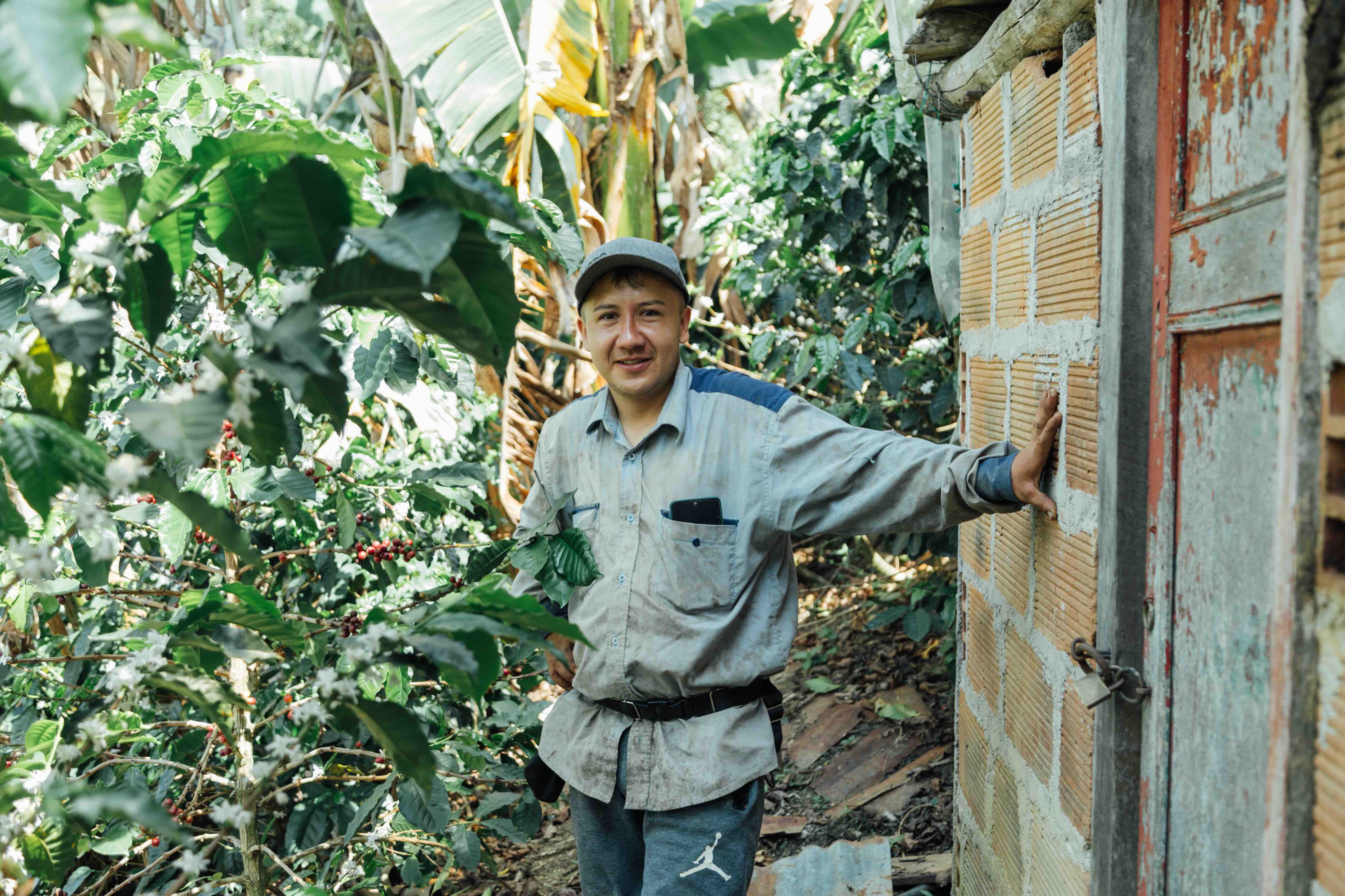 COLOMBIA, SONSON BLACK HONEY - Image 2