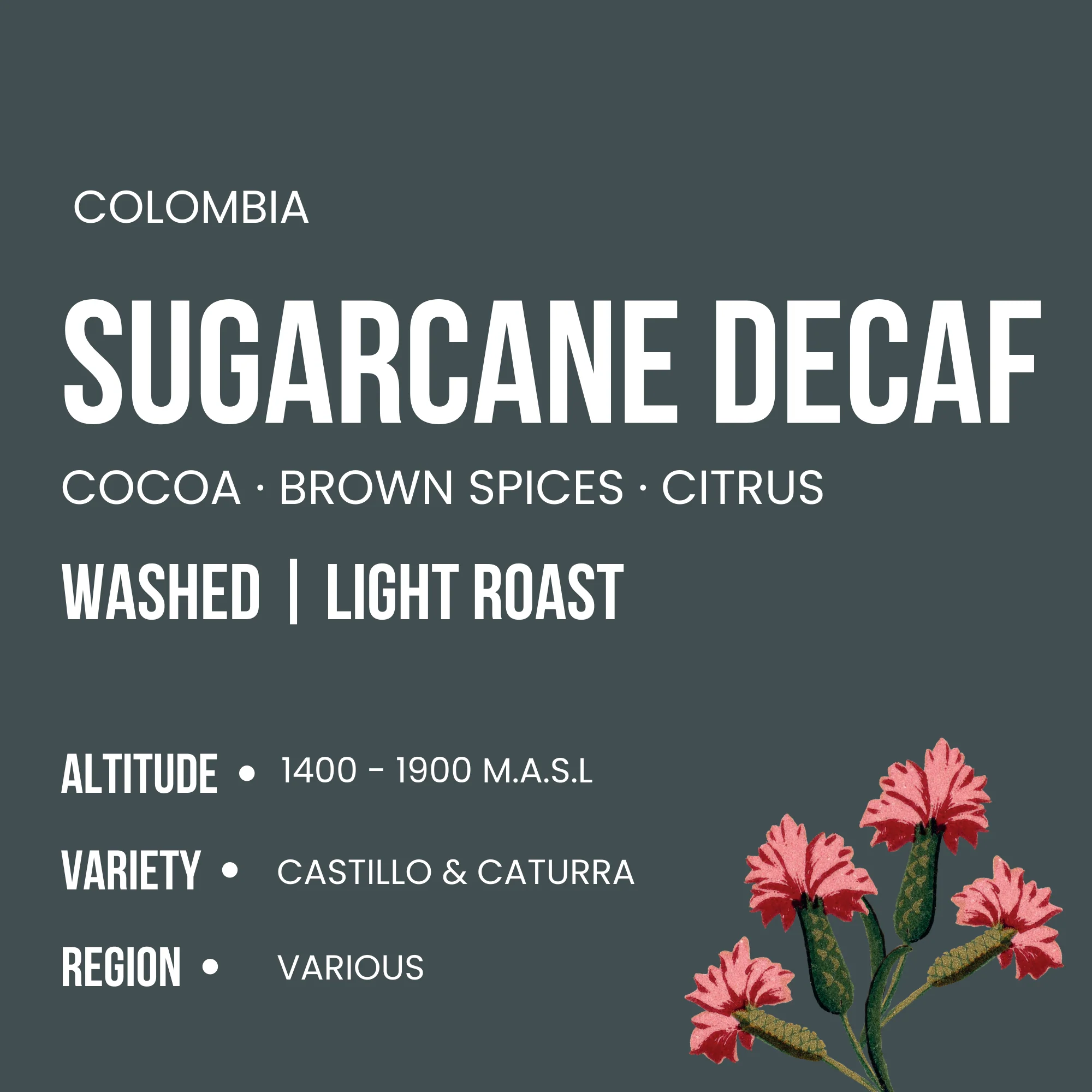 Colombia Sugarcane Decaf - Image 2