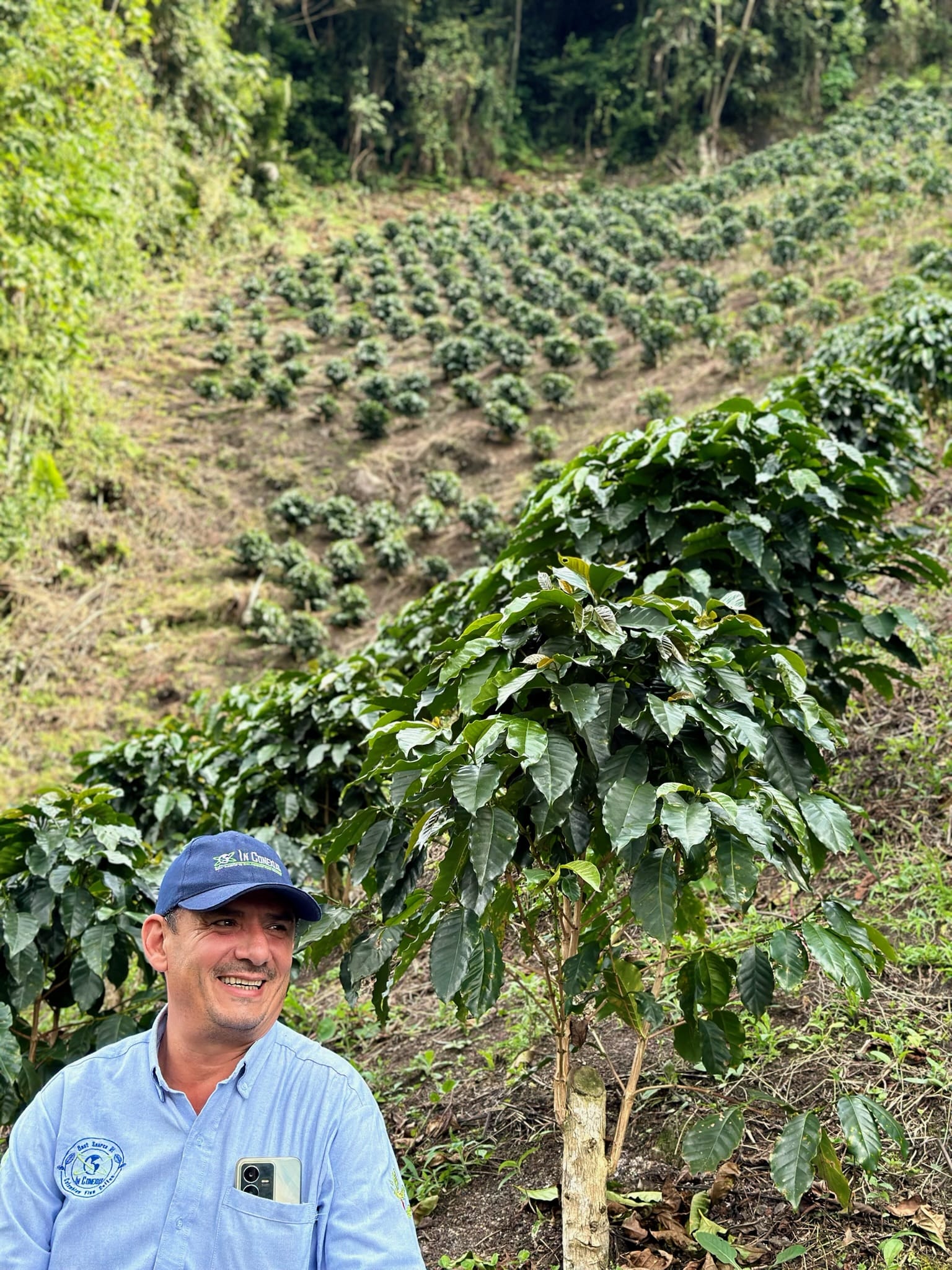 Colombia El Chaferote Pink Bourbon - Image 15