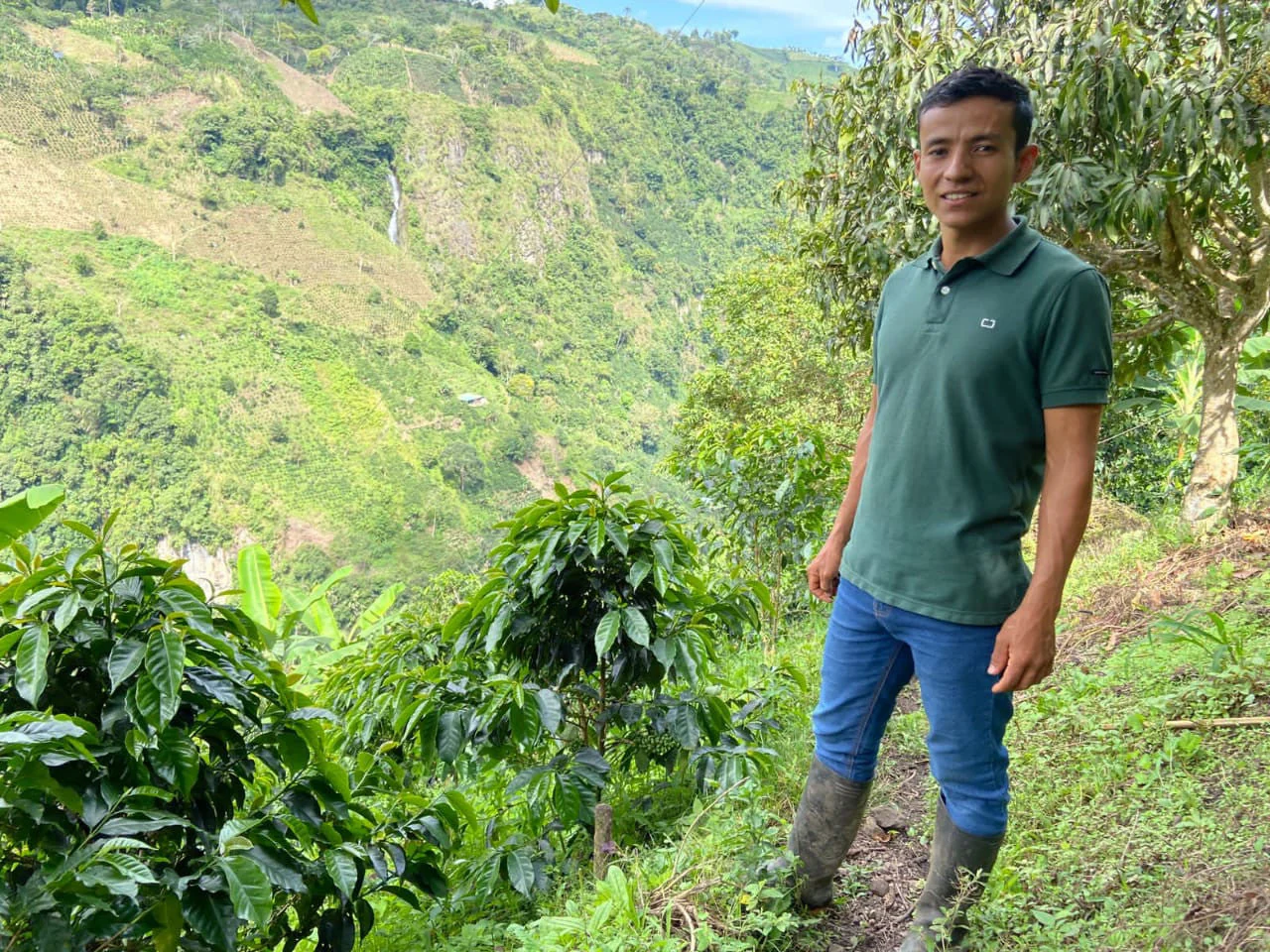Colombia El Chaferote Pink Bourbon - Image 7