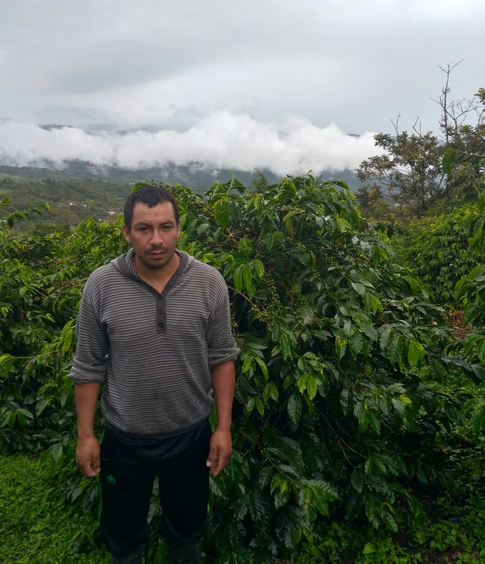 Colombia El Porvenir - Image 4