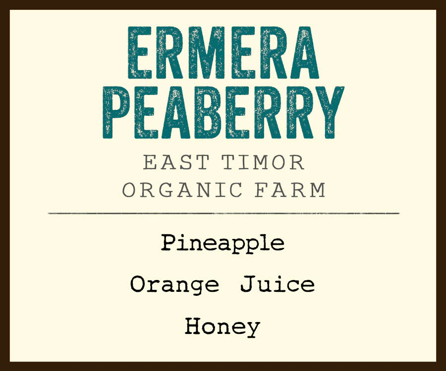 Ermera Peaberry - Image 2