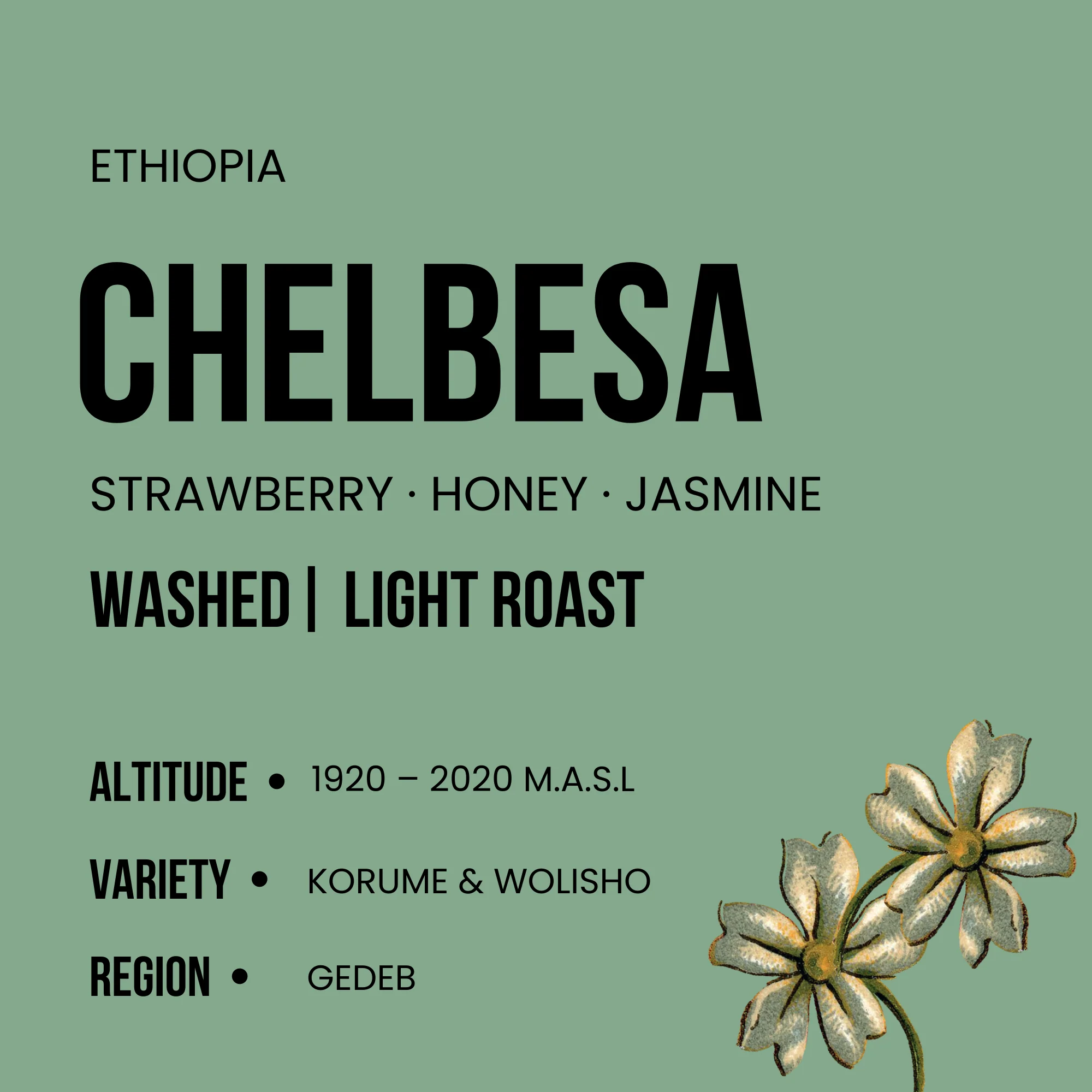 Ethiopia Chelbesa - Light Roast - Image 2