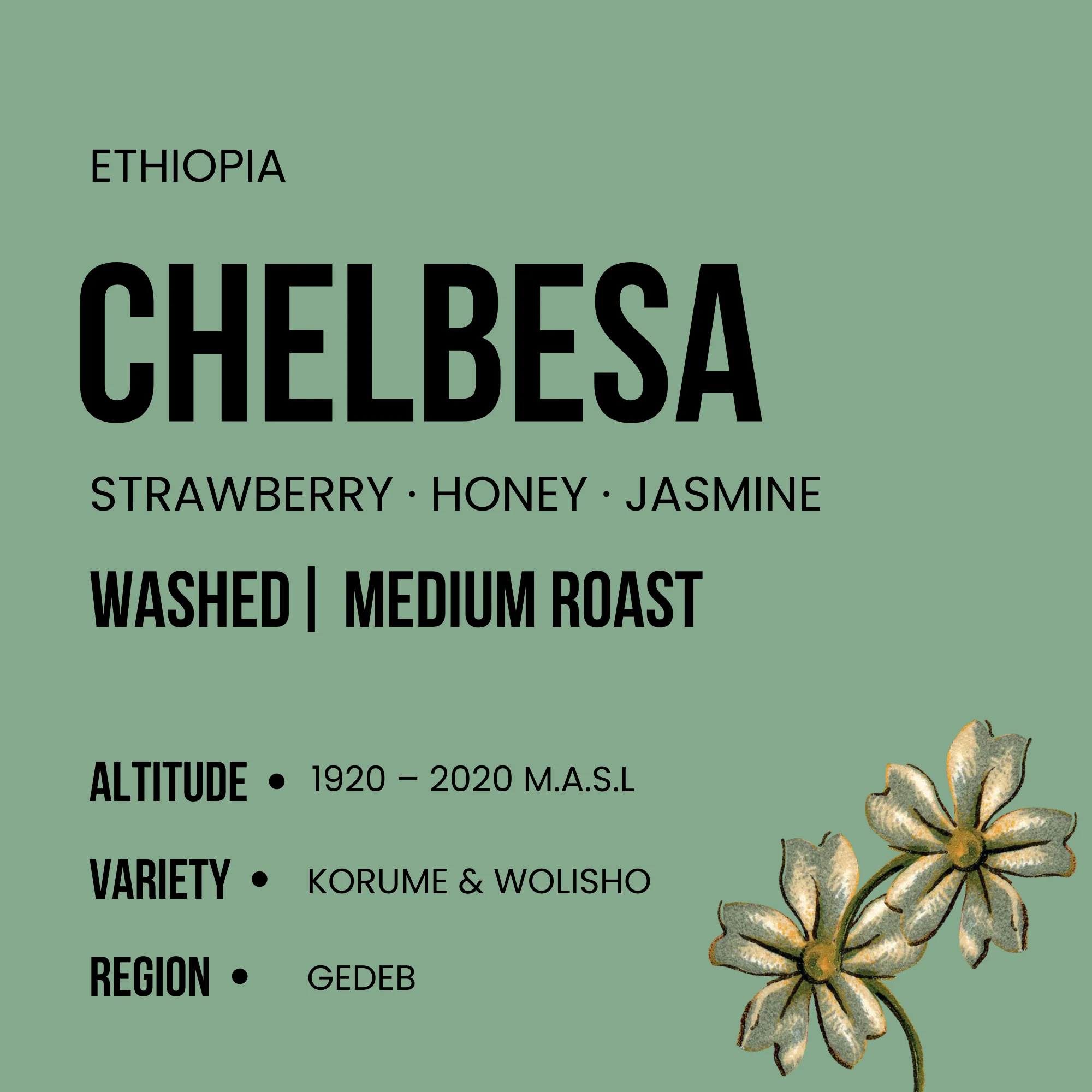 Ethiopia - Chelbesa - Medium Roast - Image 2
