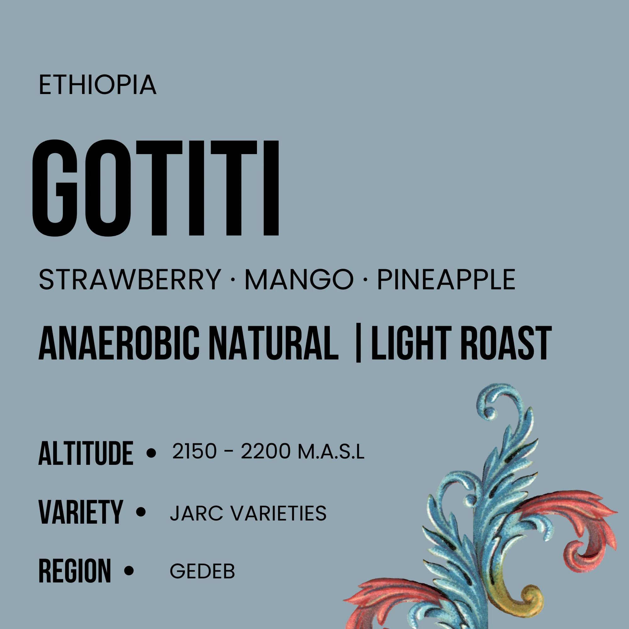 Ethiopia Gotiti - Image 2