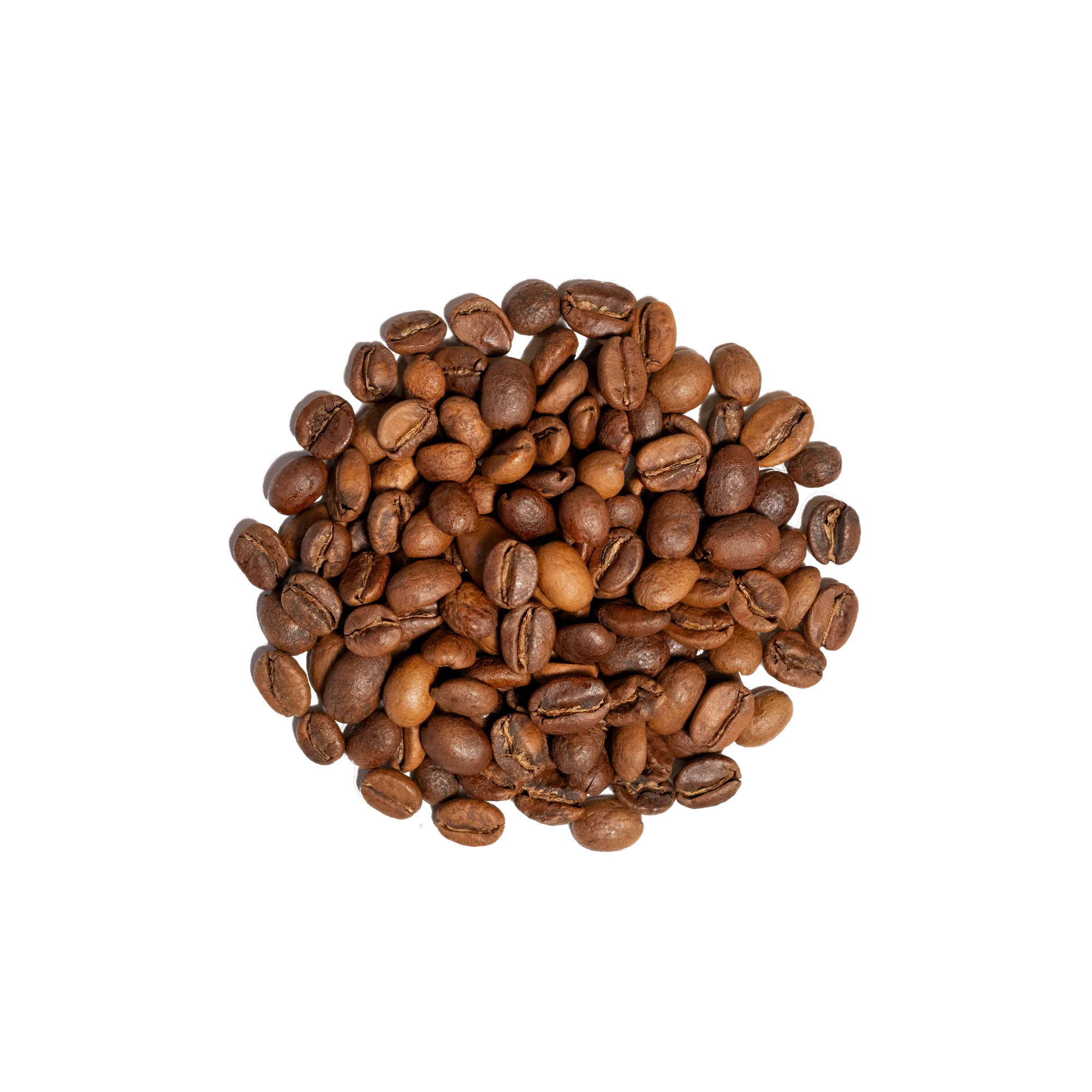 Ethiopia Worka Sakaro Anaerobic Natural - Image 6