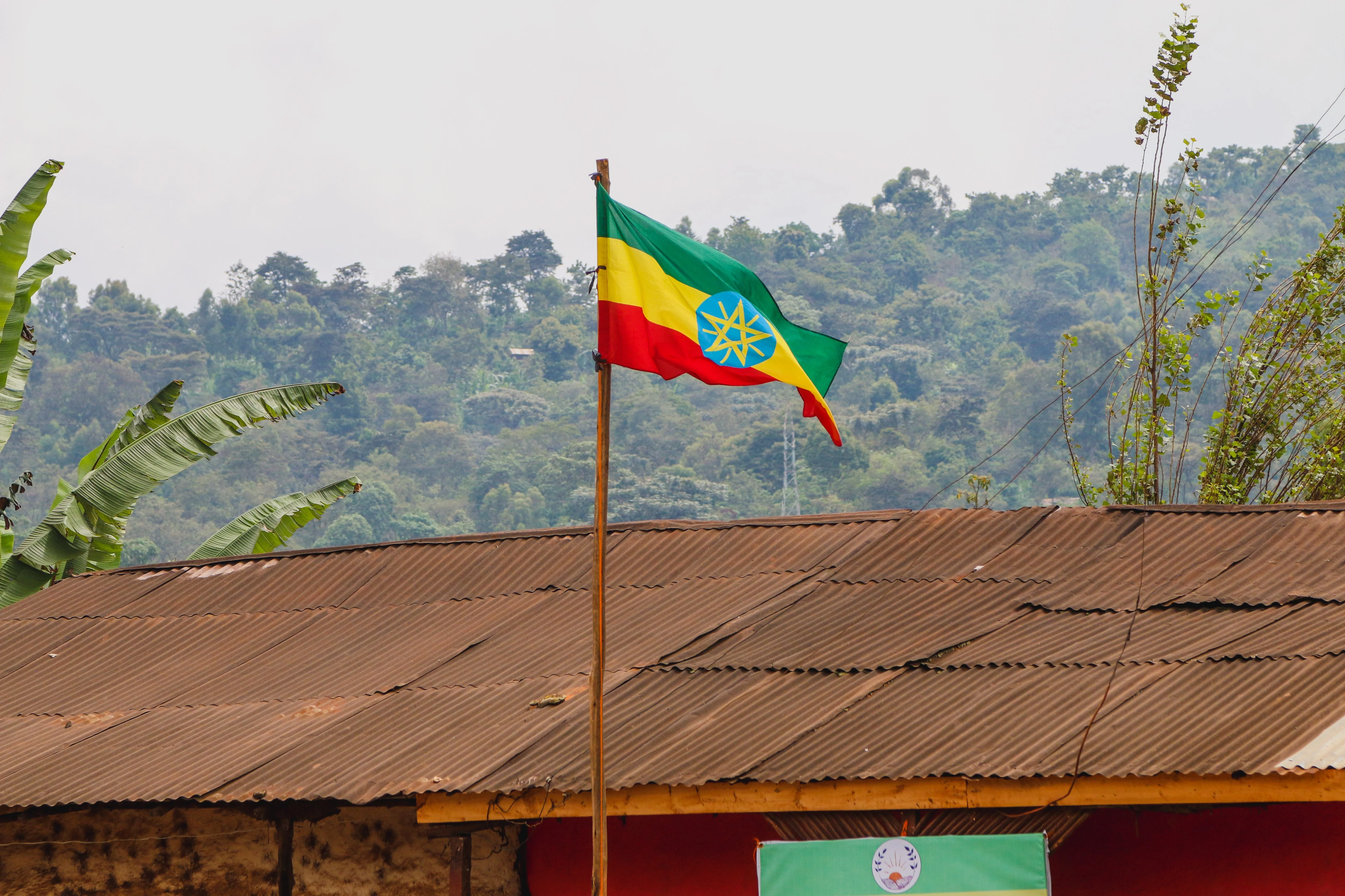 Ethiopia Wuri Yirgacheffe - Image 5