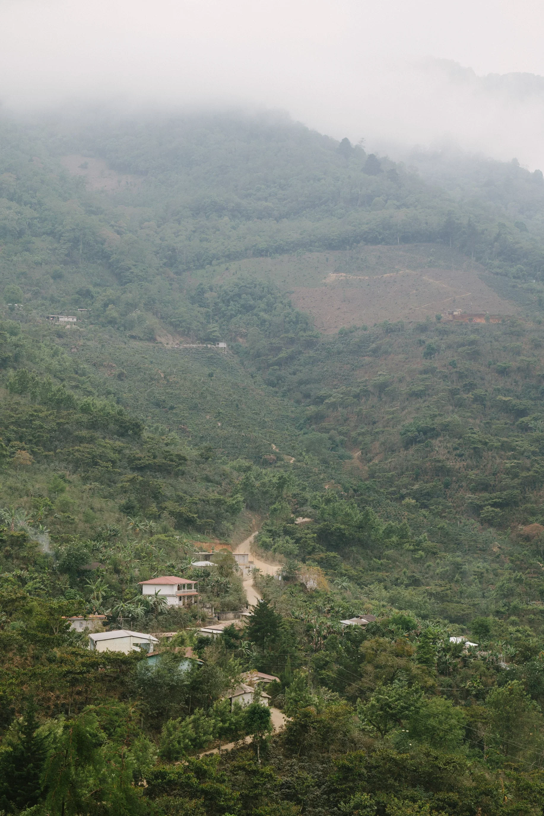 Guatemala | Alma - Image 5