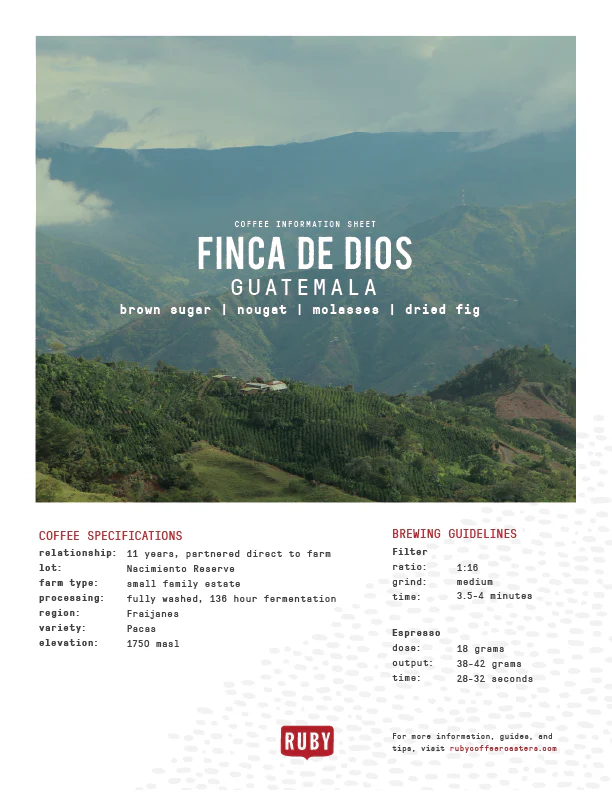 Guatemala Finca De Dios Nacimiento Reserve - Image 3