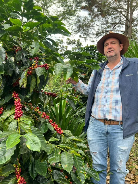 Guatemala La Bella - Image 5