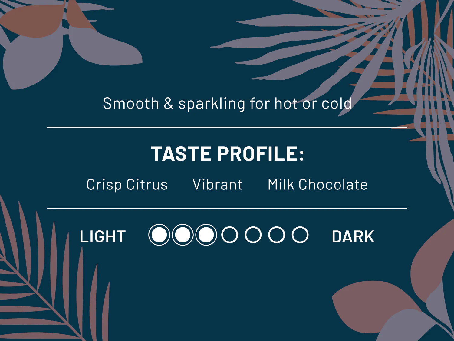 Haya Cold Brew Blend - Image 2