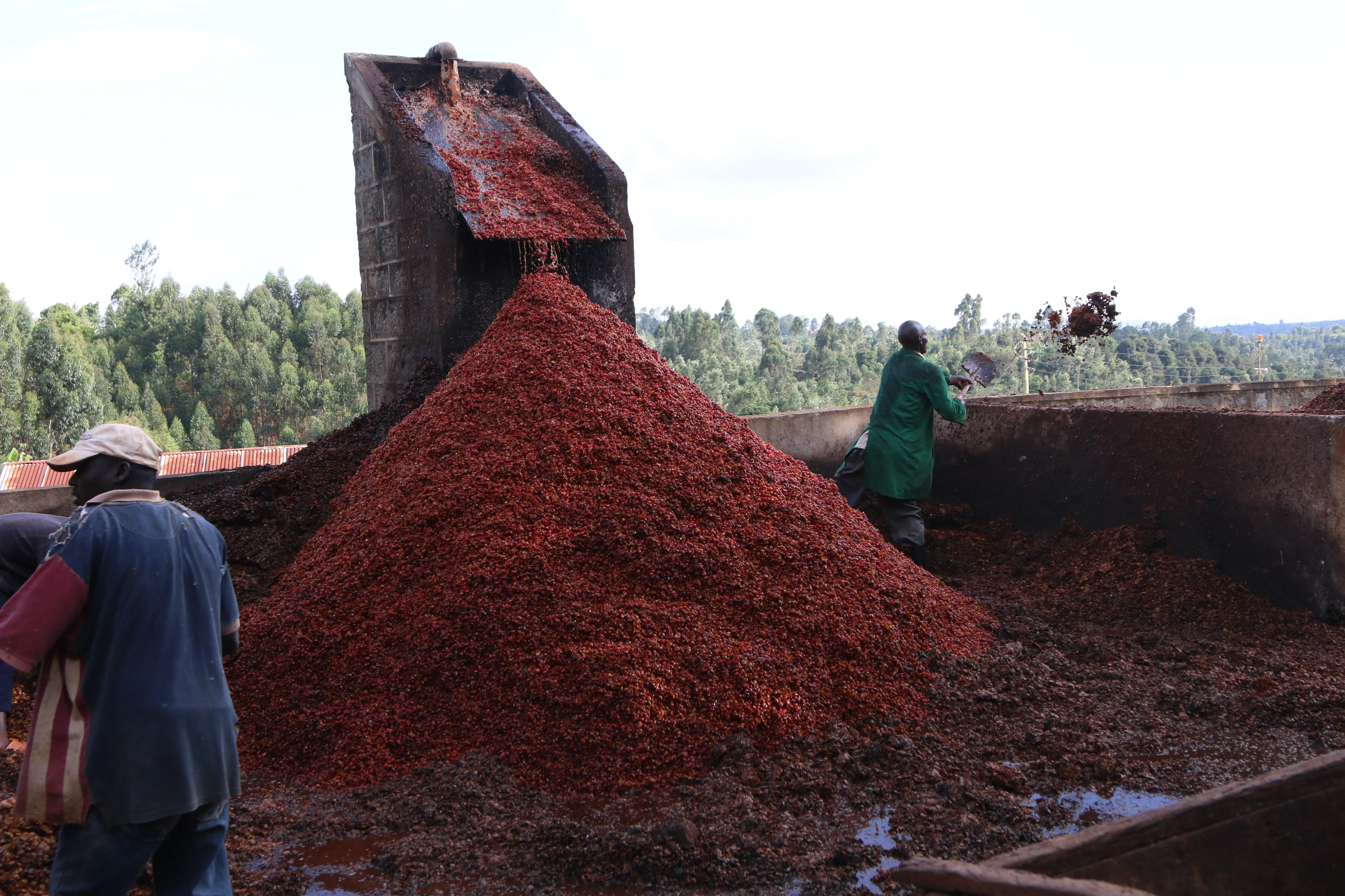 Kenya Kii AB - Image 3