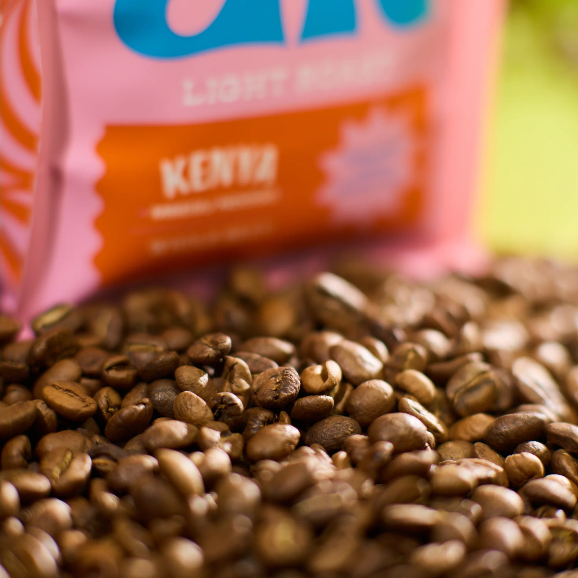 KENYA MBEGU NDOGO - Image 3