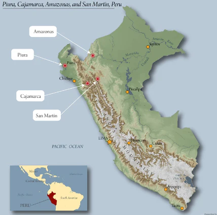 Peru Norandino - Image 2