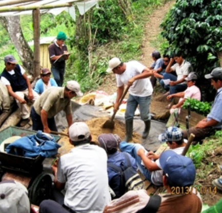 Peru Norandino - Image 3