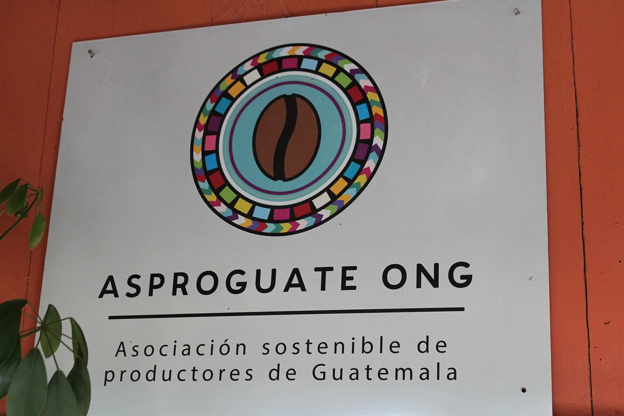 Organic Fair-Trade Guatemala El Volcan - Image 4