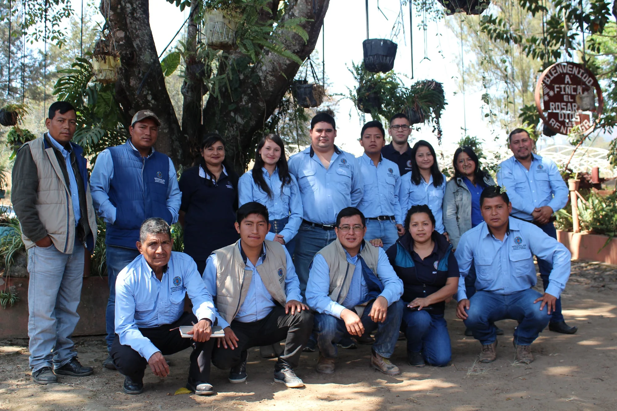 Organic Fair-Trade Guatemala El Volcan - Image 5