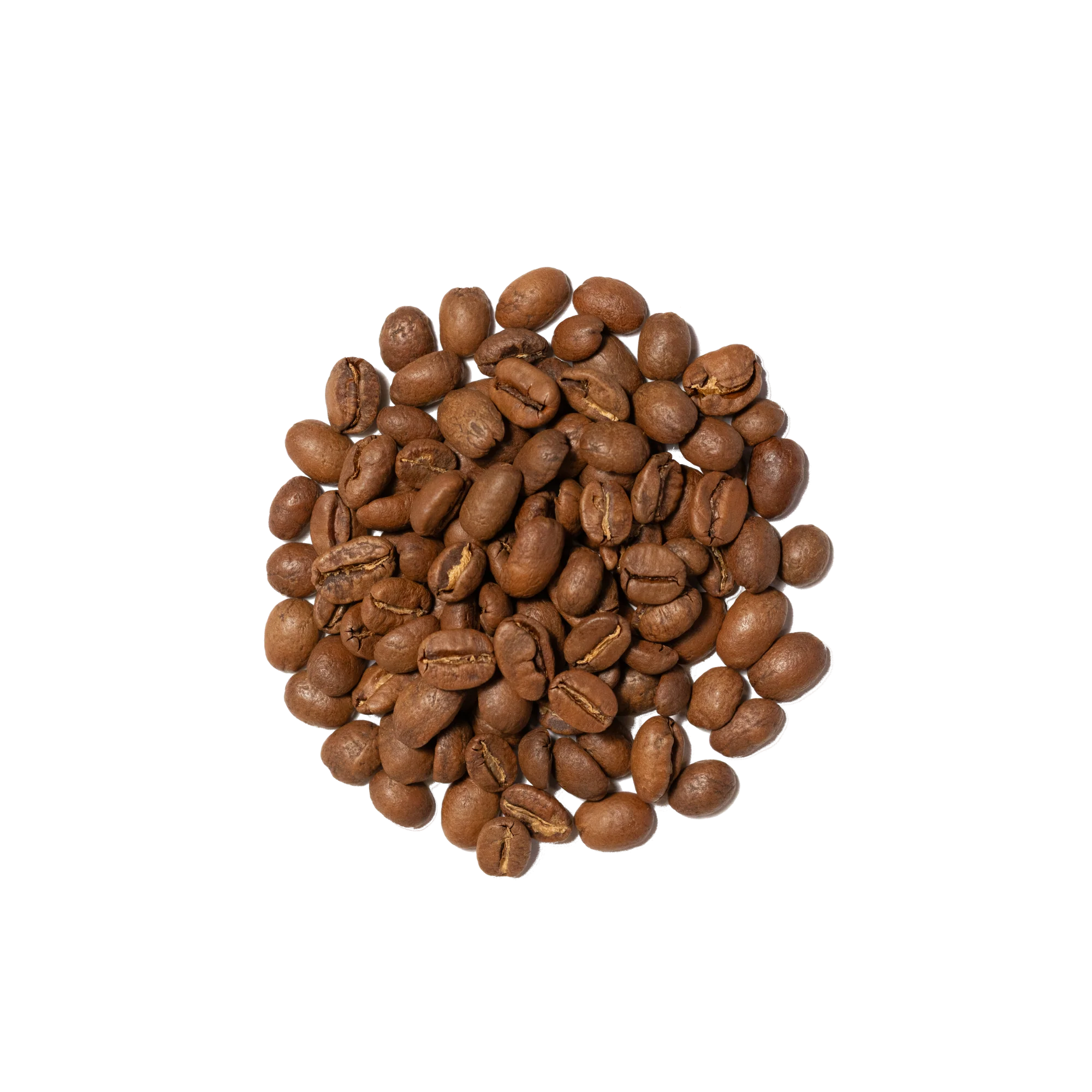 Organic Floyd Farmhouse Breakfast Blend - Image 7