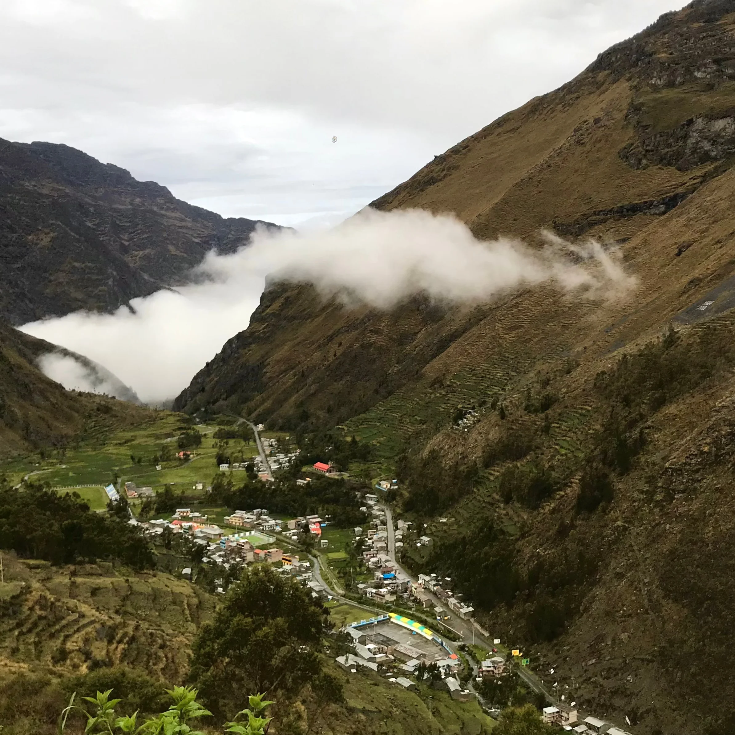 PERU ABDON QUILLA OCHOCHOQUE - Image 6