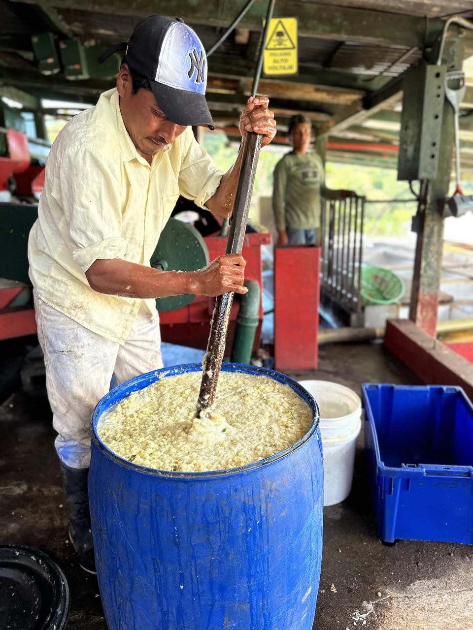Guatemala Santa Ana Pineapple Process - Image 9
