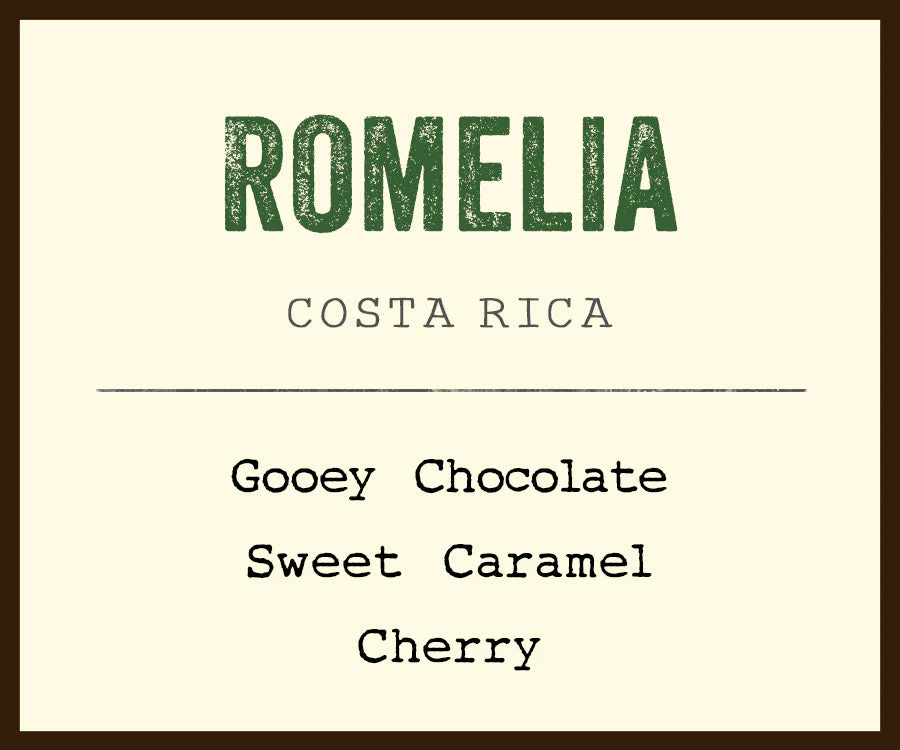 Romelia - Image 2