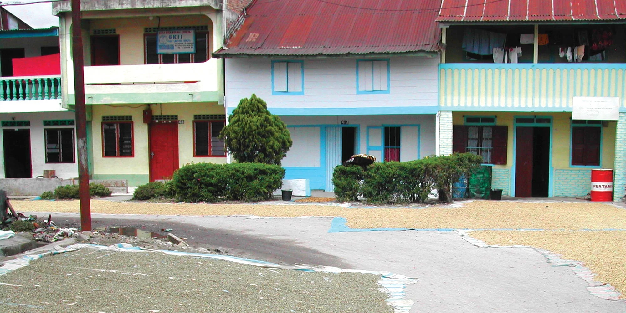 Sumatra Mutu Batak - Image 5