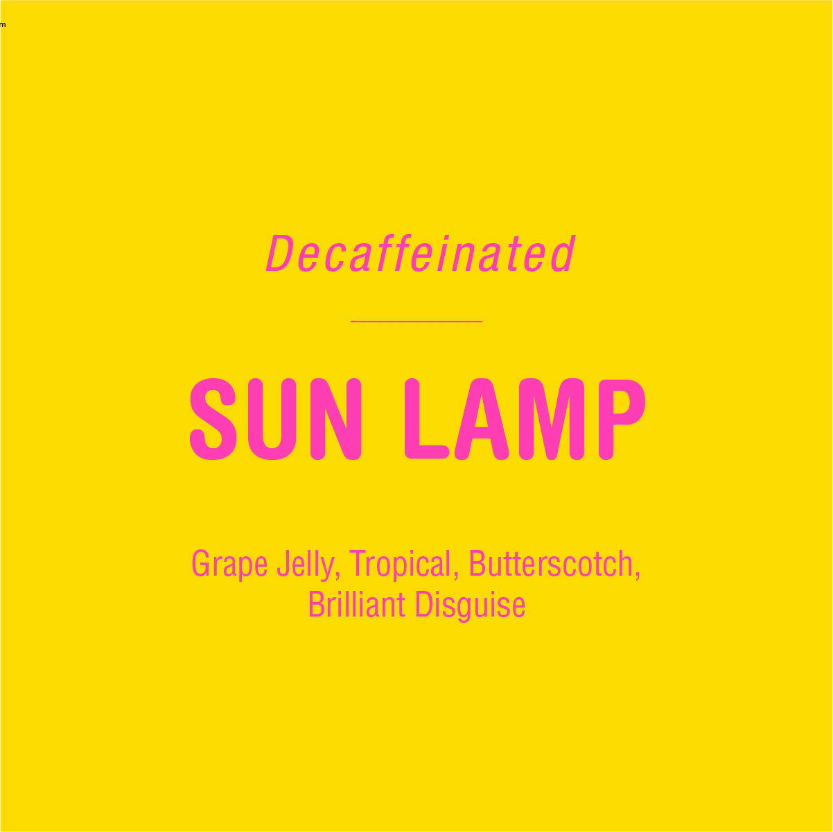 Sun Lamp Decaf - Image 2