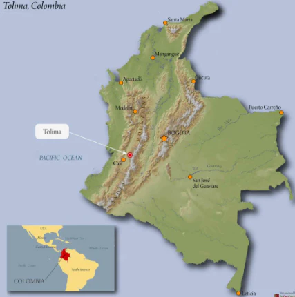 Colombia Tolima Espresso - Image 2