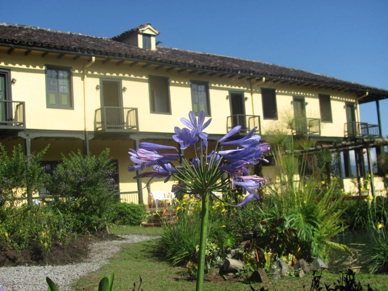 Colombia Villa Loyola - Image 10